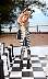zebra_chessboard_1151_resize.jpg