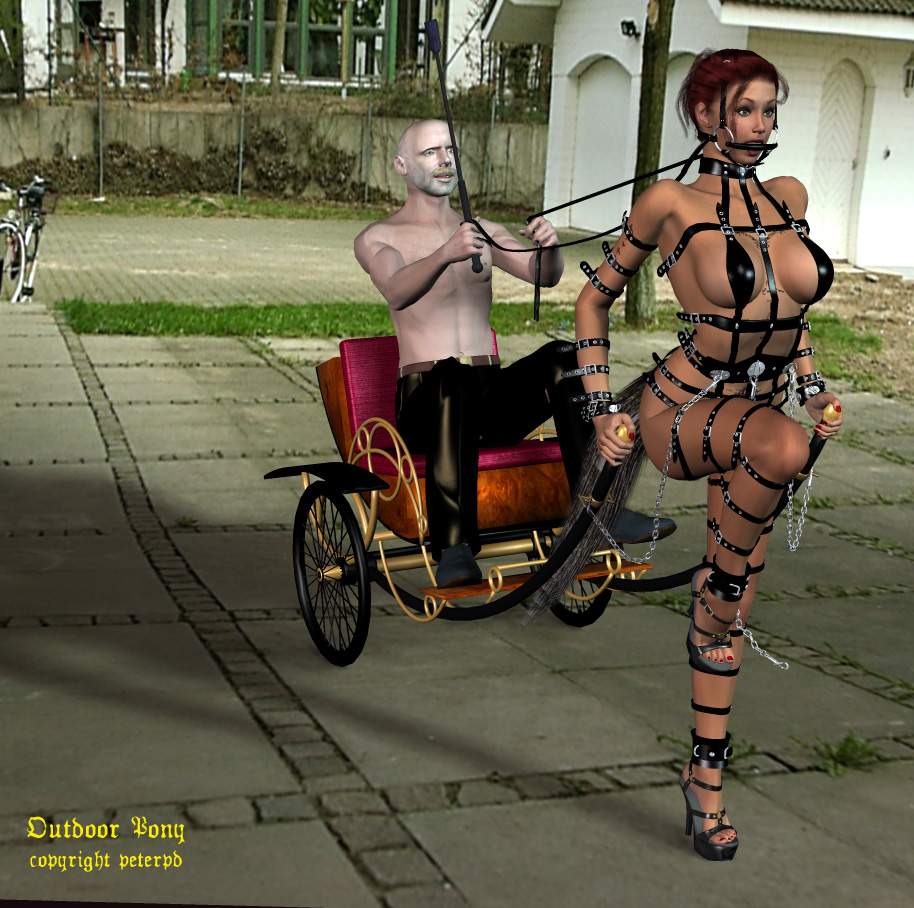 Anita grew to love it whenever her Master, Peter, hitched her to the cart and trotted her around town.
